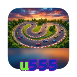 u555